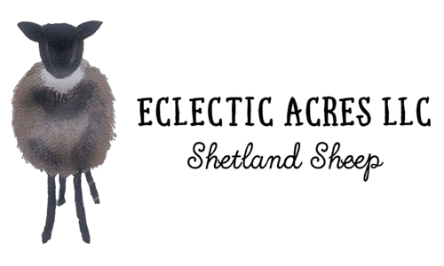 Logo - no background - right text